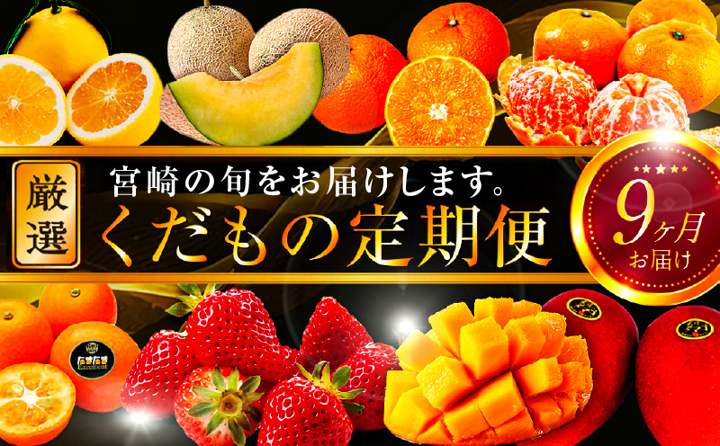 青果店厳選！「くだもの定期便Vol.3」（全9回） いちご きんかん 日向夏 マンゴー メロン みかん 津之輝