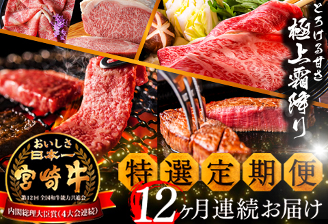 《期間・数量限定》特選! 宮崎牛定期便Aコース 2024年3月からお届け! 全12回