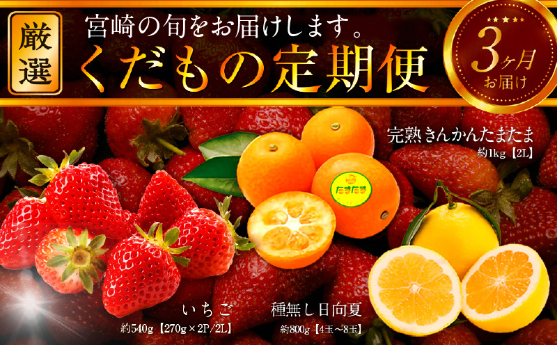 《2026年発送先行予約》【数量・期間限定】青果店厳選！「3ヶ月お届け！くだもの定期便Vol.2」 青果物 果物 フルーツ