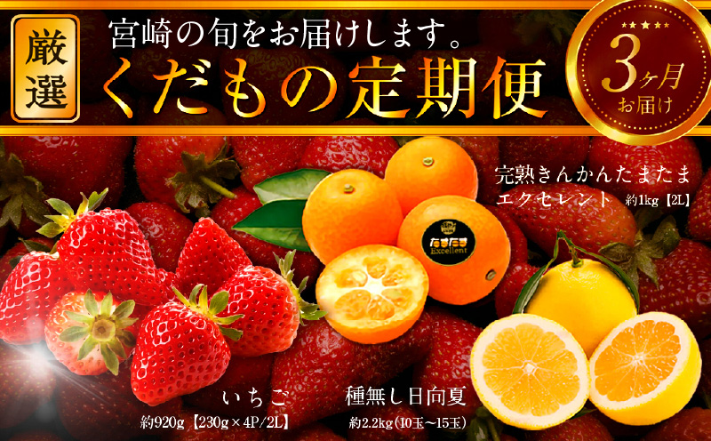 《2026年発送先行予約》【数量・期間限定】青果店厳選！「3ヶ月お届け！くだもの定期便Vol.3」 くだもの 果物 フルーツ いちご きんかん 日向夏