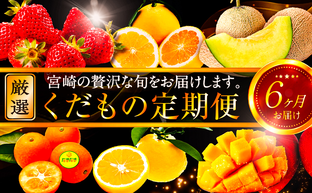 《2026年発送先行予約》【数量・期間限定】青果店厳選！「6ヶ月お届け！くだもの定期便Vol.1」 青果物 果物 フルーツ