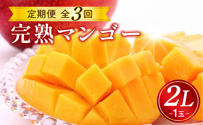 《2026年発送先行予約》【数量・期間限定】完熟マンゴー2L1玉定期便　全3回 マンゴー 果物 フルーツ