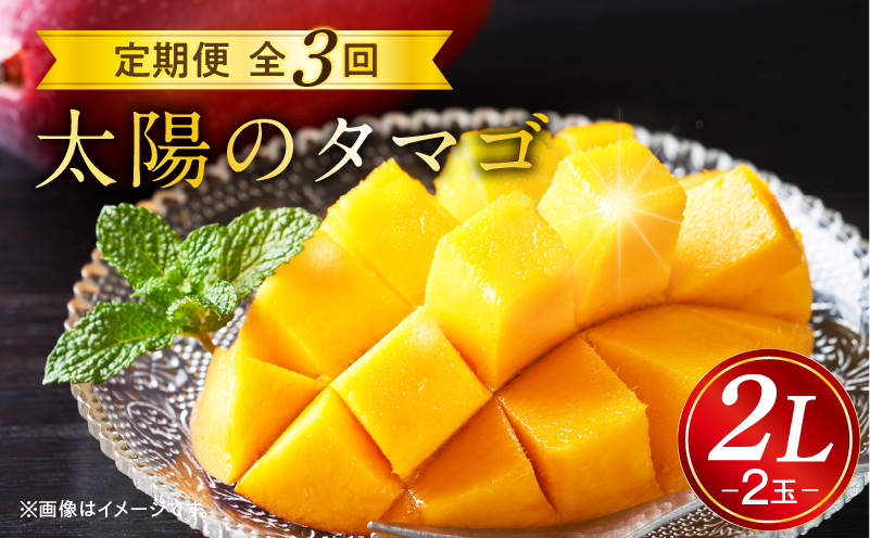 《2026年発送先行予約》【数量・期間限定】太陽のタマゴ2L2玉定期便　全3回 くだもの 完熟 フルーツ 定期便