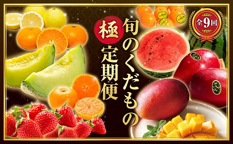 【数量限定】旬のくだもの【極】定期便【全9回】