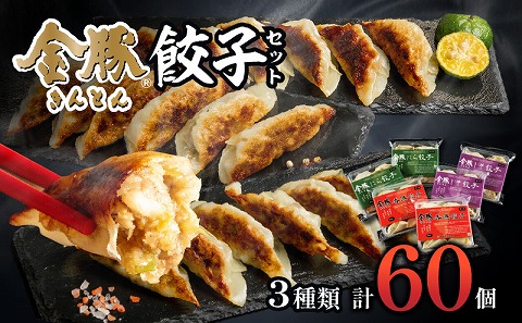 金豚 餃子セット