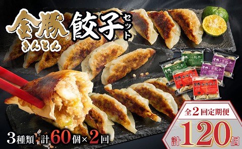 【定期便 全2回】金豚餃子セット（香港餃子・しそ餃子・にら餃子　1パック10個入×各2パック）