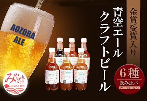 青空エールこだわりのクラフトビール飲み比べ詰め合わせセット〈フルーツビール入り〉6種6本（500mlペットボトル×6本）|フルーツ ビール