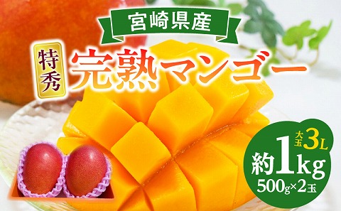 【2026年発送先行予約】《数量・期間限定》完熟！宮崎マンゴー 特秀 大玉3Lサイズ 2玉化粧箱入り マンゴー 宮崎 完熟マンゴー