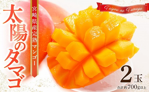 《2026年発送先行予約》【数量・期間限定】宮崎県産 太陽のタマゴ 2玉