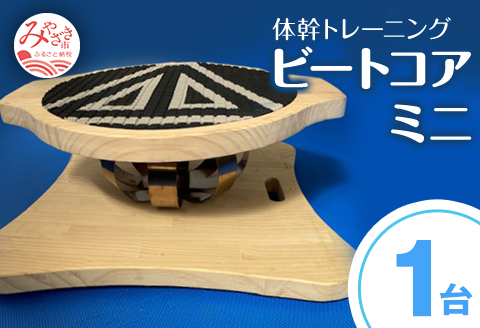 体幹トレーニング ビートコア ミニ