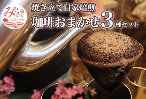 焼き立て 自家焙煎 珈琲豆 おまかせ 3種類 セット