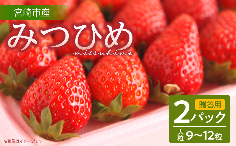 《2026年発送》【数量・期間限定】【贈答用】宮崎市産いちご みつひめ 2パック いちご 苺 イチゴ 果物 フルーツ プレゼント ギフト