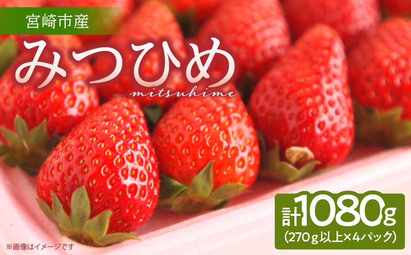 《2026年発送》【数量・期間限定】宮崎市産いちご みつひめ スタンダード 4パック いちご 苺 イチゴ 果物 フルーツ 大粒