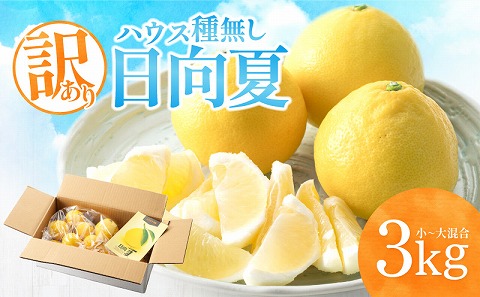 《2026年発送先行予約》【数量・期間限定】【訳あり】ハウス種無し日向夏　小～大混合3kg 日向夏 種無し ハウス栽培