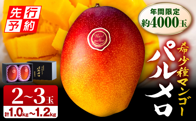 《2026年発送先行予約》【期間・数量限定】宮崎県産 希少種マンゴー パルメロ 計 約1.0kg～1.2kg 2～3玉入り 完熟マンゴー パルメロ 果物
