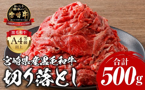 宮崎牛 切り落とし 500g