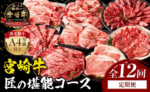 【定期便全12回】宮崎牛 匠の堪能コース_M243-T010 牛肉 焼肉 ステーキ