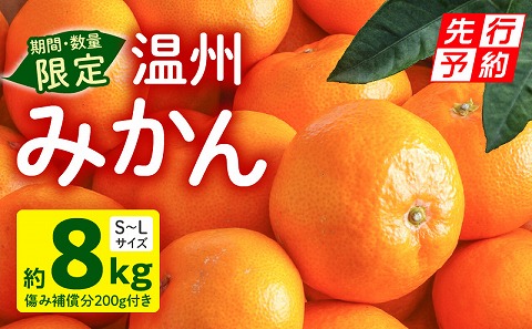 《2025年発送先行予約》【期間・数量限定】温州みかん8kg(傷み補償分200g付き) 果物 ミカン 柑橘