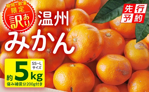 《2025年発送先行予約》【期間・数量限定】《訳あり》温州みかん5kg(傷み補償分200g付き) ミカン 果物 柑橘