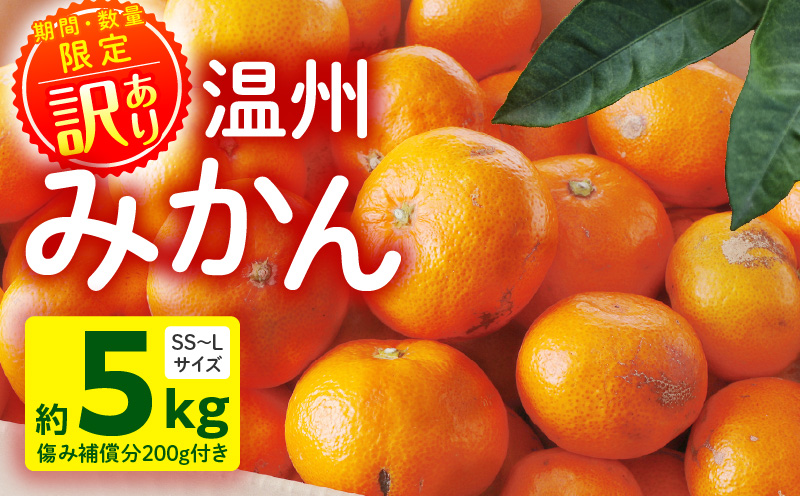 《2025年～2026年発送》【数量・期間限定】《訳あり》温州みかん5kg(傷み補償分200g付き) ミカン 果物 柑橘