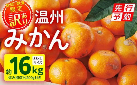 《2025年発送先行予約》【期間・数量限定】《訳あり》温州みかん16kg(傷み補償分200g付き) ミカン 果物 柑橘