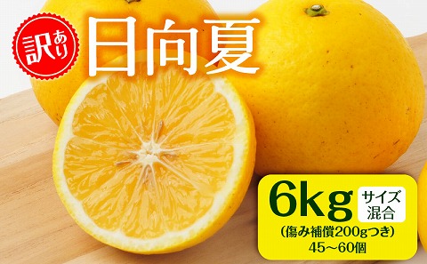 【訳あり】日向夏 6kg＋傷み補償(200g)つき サイズ混合