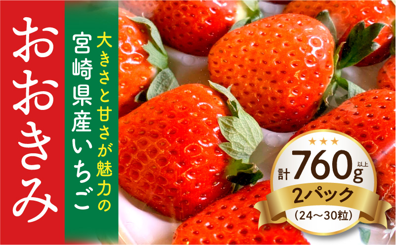 《2026年発送》【数量・期間限定】宮崎県産いちご「おおきみ」2パック(計760g以上：24粒～30粒) いちご 果物 フルーツ パック