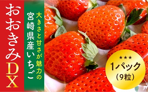 《2026年発送先行予約》【数量・期間限定】宮崎県産いちご「おおきみDX」1パック(9粒) 大粒 甘い パイオニア
