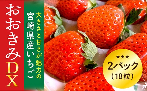 《2026年発送先行予約》【数量・期間限定】宮崎県産いちご「おおきみDX」2パック(18粒) 大粒 甘い パイオニア