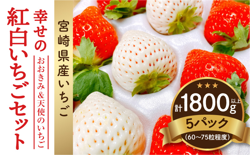 《2026年発送》【数量・期間限定】宮崎県産 幸せの紅白いちごセット(おおきみ&天使のいちご)5パック いちご 苺 果物 大粒