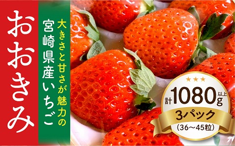 《2026年発送先行予約》【数量・期間限定】宮崎県産いちご「おおきみ」3パック(計1080g以上：36粒～45粒) いちご 果物 フルーツ パック