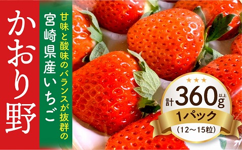 《2026年発送先行予約》【数量・期間限定】宮崎県産いちご「かおり野」1パック(計360g以上：12粒～15粒) 甘味 酸味 抜群