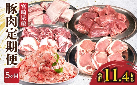 【全5回】豚肉定期便 バラ ロース 切り落とし ヒレ 肩ロース