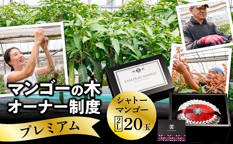 シャトーマンゴー／マンゴーの木オーナー制度【プレミアム】