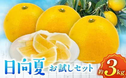 日向夏　お試しセット3kg