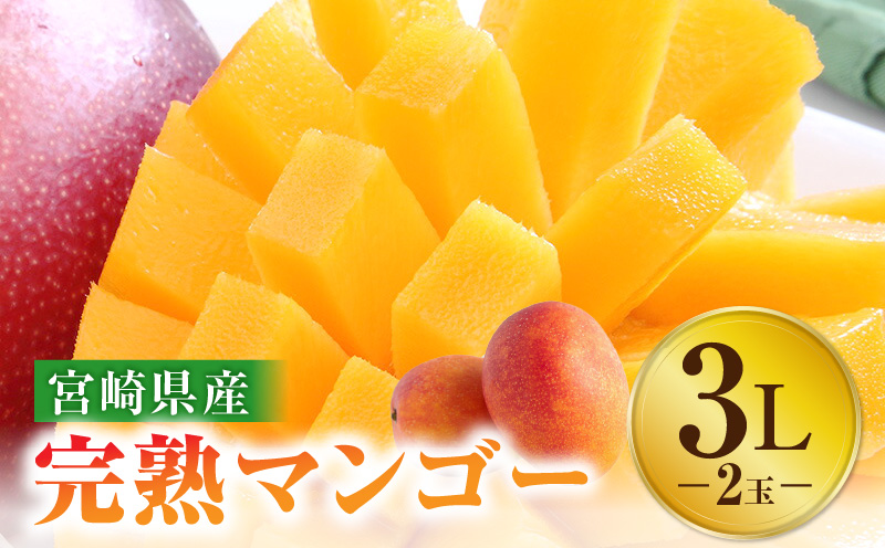 《2026年発送先行予約》【数量・期間限定】宮崎特産品 宮崎県産完熟マンゴー 3L×2玉 完熟マンゴー マンゴー フルーツ