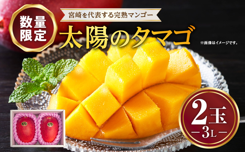 《2026年発送先行予約》【数量・期間限定】宮崎特産品 宮崎県産完熟マンゴー 太陽のタマゴ 3L×2玉 マンゴー 完熟 フルーツ 宮崎マンゴー 果物