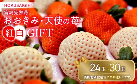 《2026年発送》【数量・期間限定】HOKUSAIGIFT宮崎完熟苺おおきみ・天使の苺紅白 いちご イチゴ 苺 果物 フルーツ