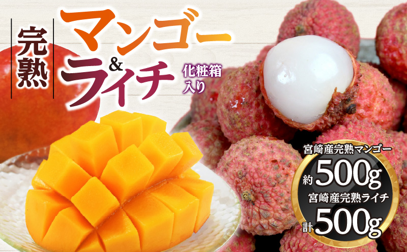 《2026年発送先行予約》【数量・期間限定】宮崎マンゴー4L×1・宮崎ライチ12玉 完熟 果実 太陽