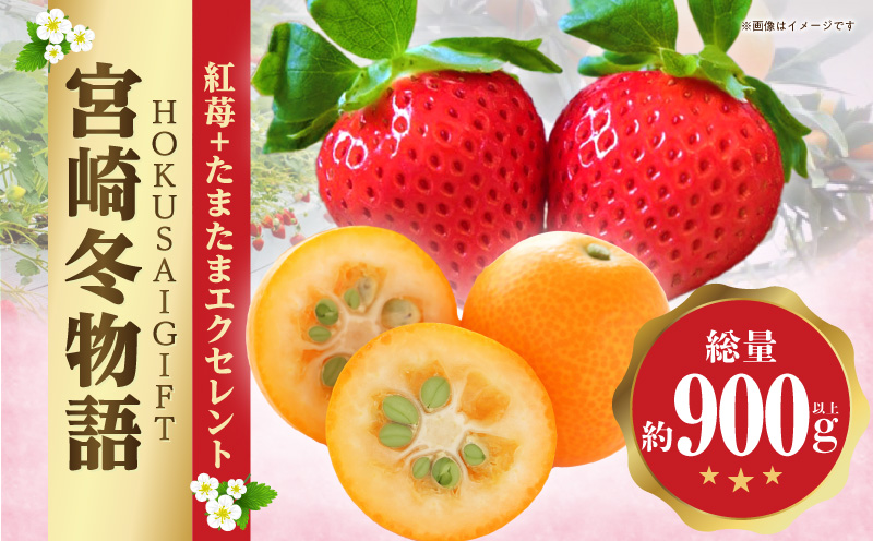 《2026年発送》【数量・期間限定】宮崎冬物語HOKUSAIGIFT紅苺・たまたま いちご イチゴ 苺 きんかん 金柑 金柑たまたま 果物 フルーツ