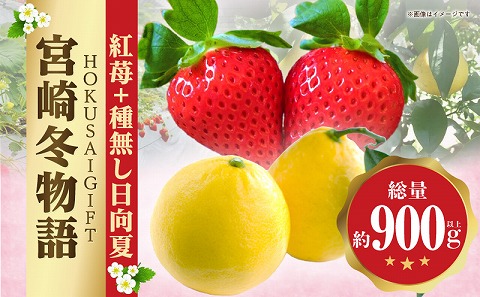 《2026年発送》【数量・期間限定】宮崎冬物語HOKUSAIGIFT紅苺＋種無し日向夏 苺 いちご イチゴ おおきみ苺 おおきみいちご 日向夏 柑橘類 柑橘 果物 くだもの フルーツ ギフト 贈り物