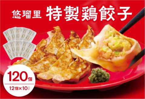 悠瑠里特製鶏餃子120個