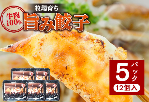 牧場育ち 牛肉100％旨み餃子（餃子12個パック×5）