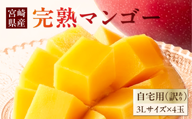 《2026年発送先行予約》【数量・期間限定】【自宅用(訳あり)】La Brilliant Mango(3L×4玉) マンゴー 完熟 漿果堂 cafe&grocery HITOKIWA