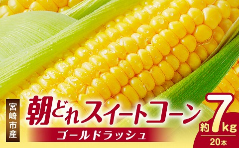 《2026年発送先行予約》【数量・期間限定】宮崎市産朝どれスイートコーン（ゴールドラッシュ）約7kg 野菜 甘い 新鮮