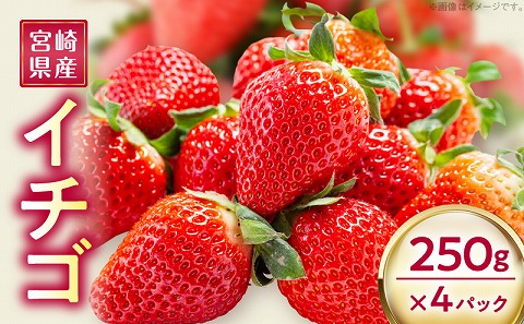 《2026年発送先行予約》【数量・期間限定】宮崎県産イチゴ 250g×4パック 果物 苺 フルーツ