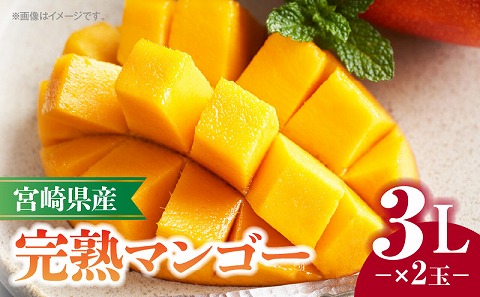 《2026年発送先行予約》【数量・期間限定】宮崎県産完熟マンゴー 3L×2玉 マンゴー 完熟マンゴー 果物