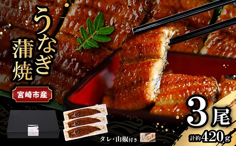 宮崎県宮崎市産　うなぎの蒲焼　約420g（約140g×3尾）タレ・山椒セット
