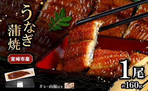 宮崎県宮崎市産　うなぎの蒲焼　約160g（約160g×1尾）タレ・山椒セット
