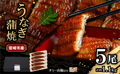 宮崎県宮崎市産　うなぎの蒲焼　約1.1kg（約220g×5尾）タレ・山椒セット